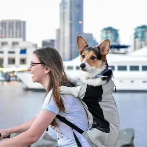 Durable Nylon Dog Carrier Backpack – Breathable Travel Bag for Pets