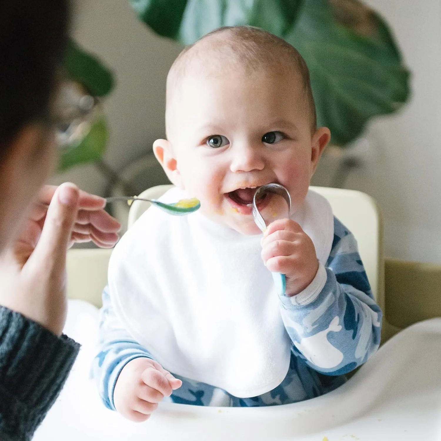 green sprouts Stay-dry Baby Bibs