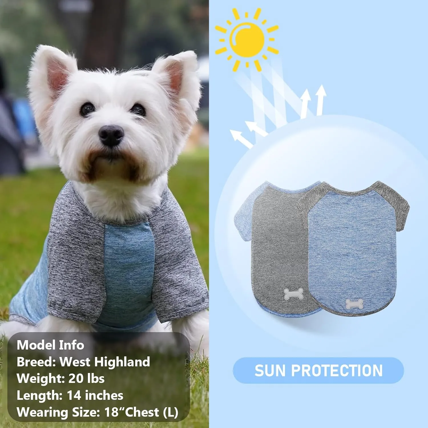 KYEESE 2 Pack Dog Shirts Quick Dry Quick Dry Lightweight Stretchy Dog T-Shirts with Reflective Label Raglan Sleeve Cat Shirts Pet Clothes