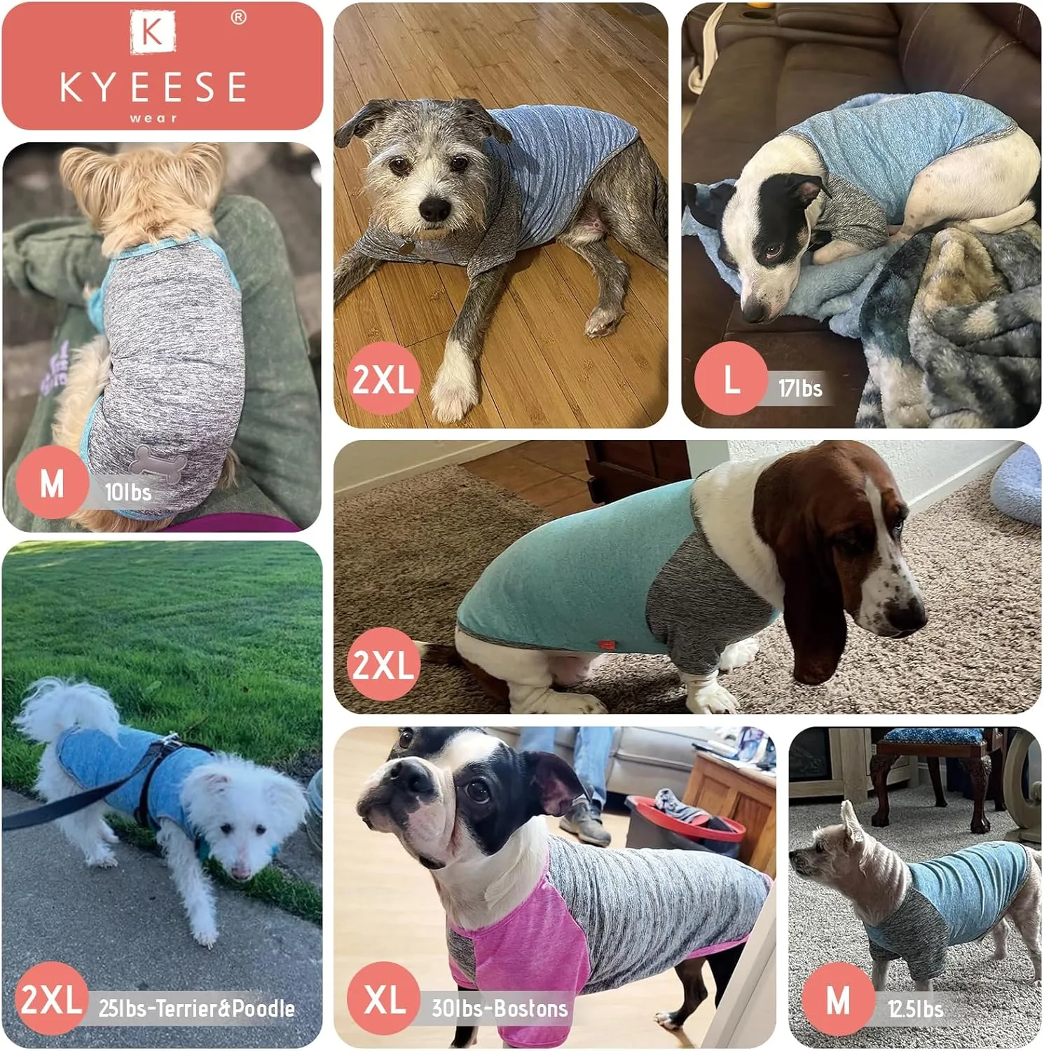 KYEESE 2 Pack Dog Shirts Quick Dry Quick Dry Lightweight Stretchy Dog T-Shirts with Reflective Label Raglan Sleeve Cat Shirts Pet Clothes