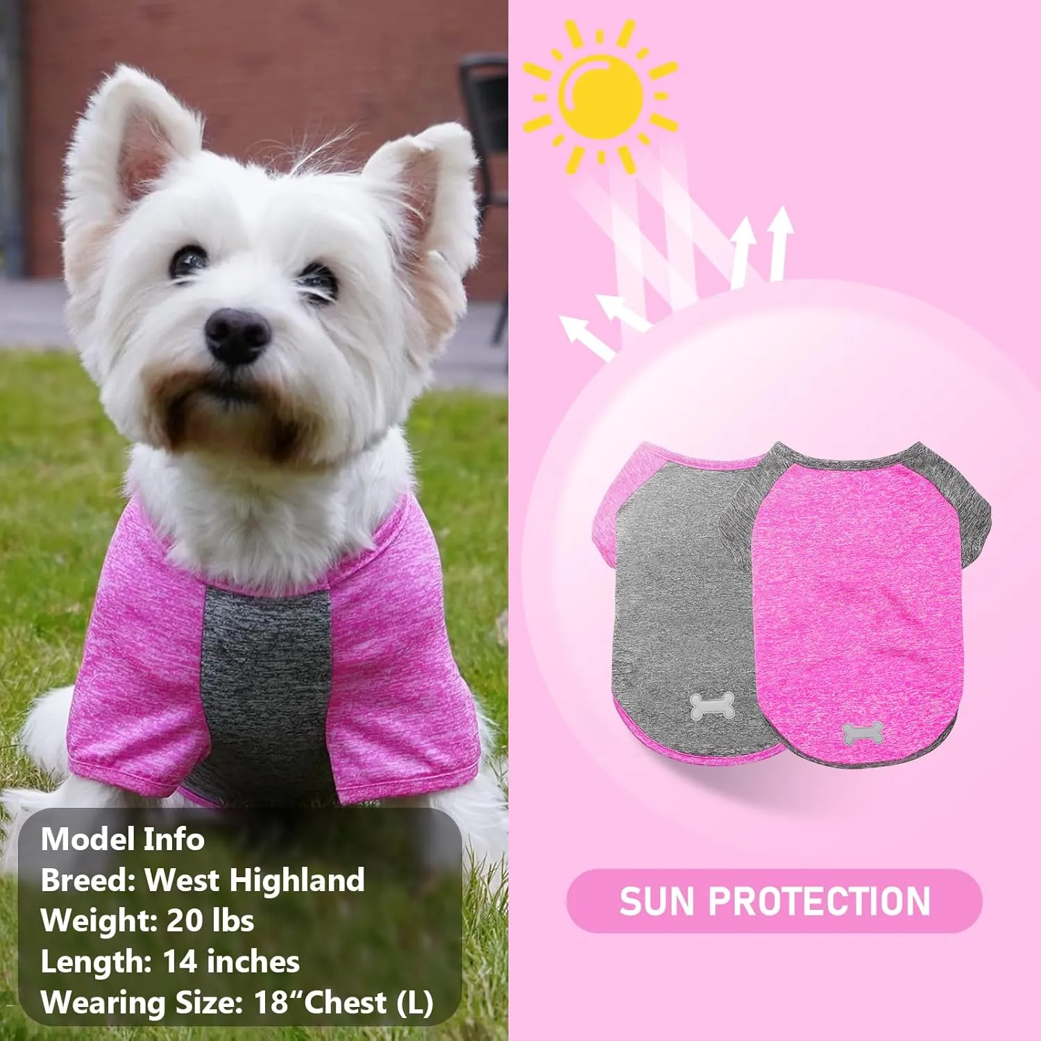 KYEESE 2 Pack Dog Shirts Quick Dry Raglan Sleeve Quick Dry Lightweight Stretchy Dog T-Shirts with Reflective Label Cat Shirts Pet Clothes