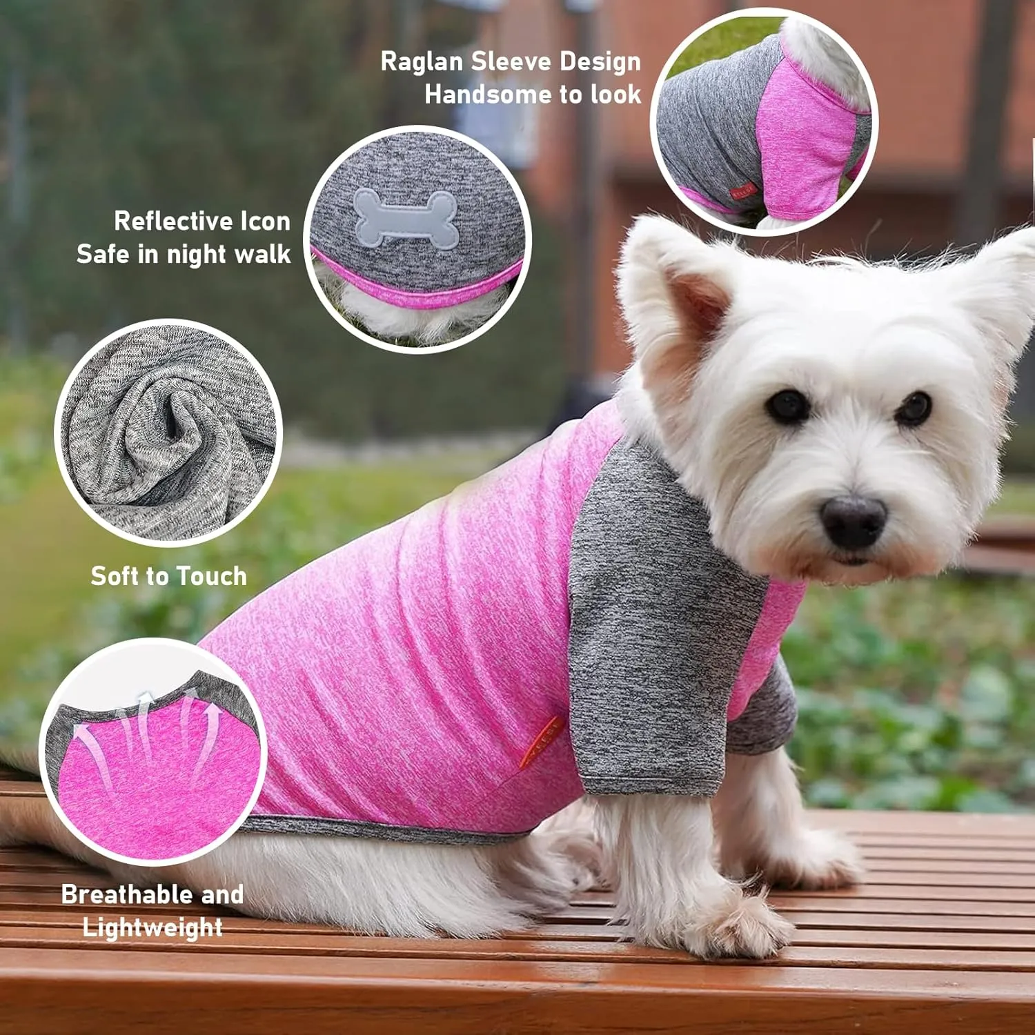 KYEESE 2 Pack Dog Shirts Quick Dry Raglan Sleeve Quick Dry Lightweight Stretchy Dog T-Shirts with Reflective Label Cat Shirts Pet Clothes