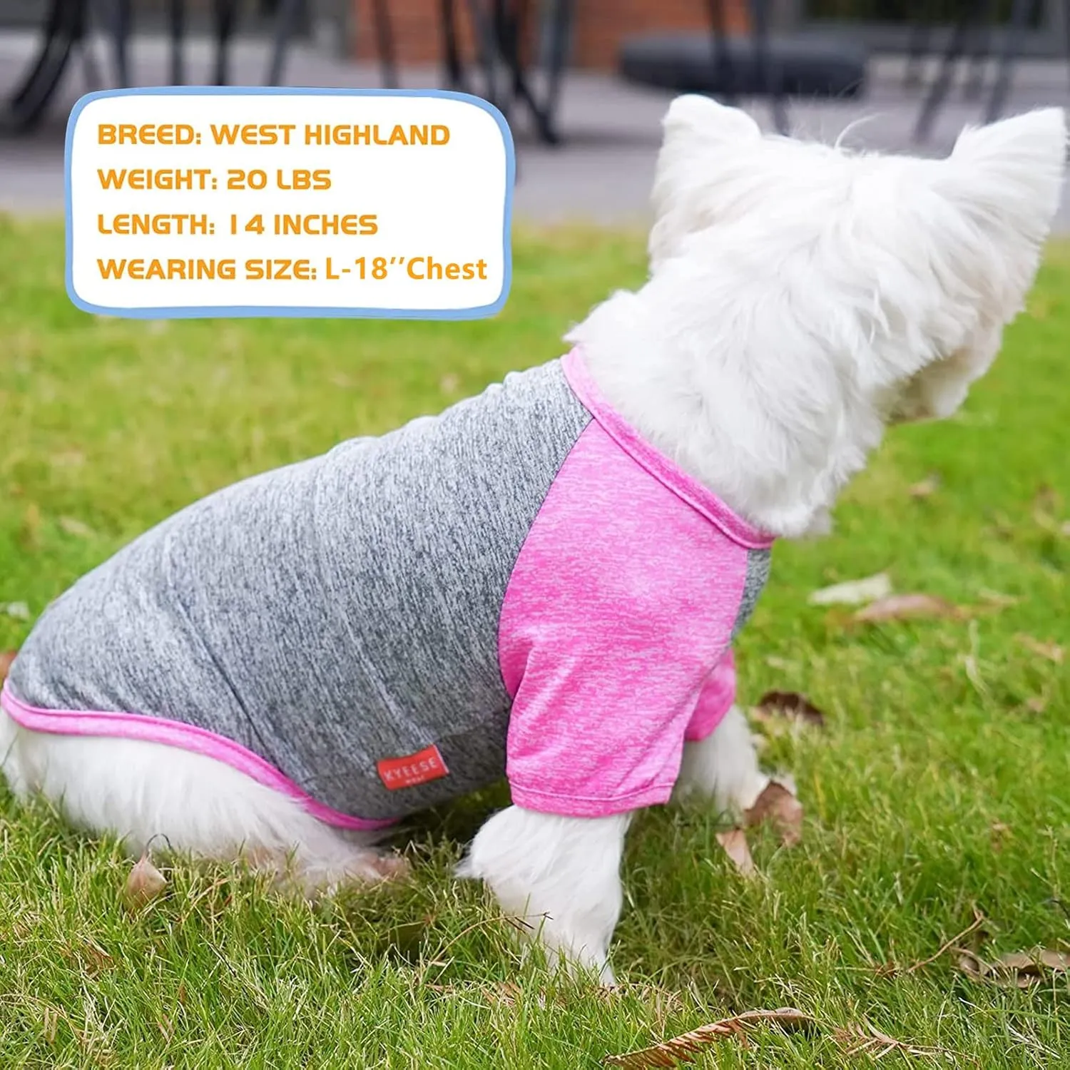 KYEESE 2 Pack Dog Shirts Quick Dry Raglan Sleeve Quick Dry Lightweight Stretchy Dog T-Shirts with Reflective Label Cat Shirts Pet Clothes