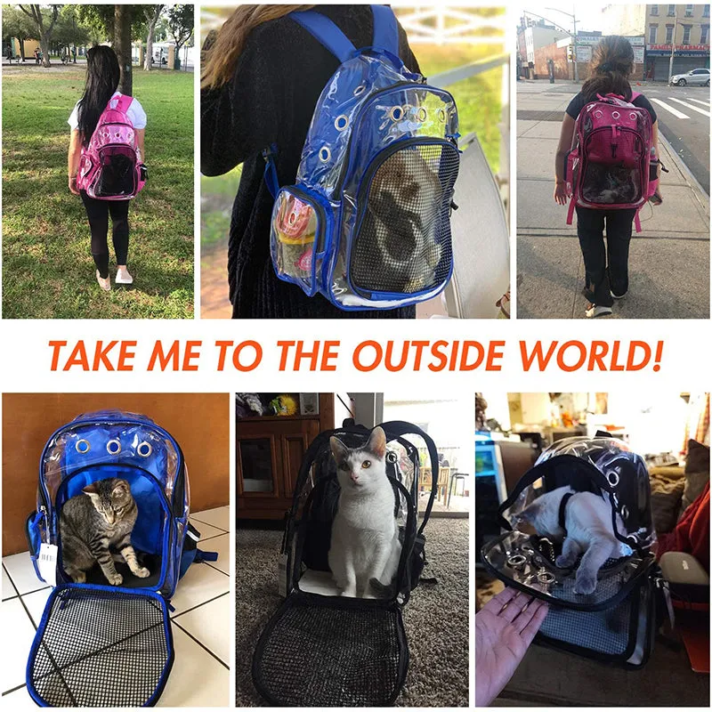 Transparent Small Dog Backpack