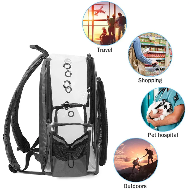 Transparent Small Dog Backpack
